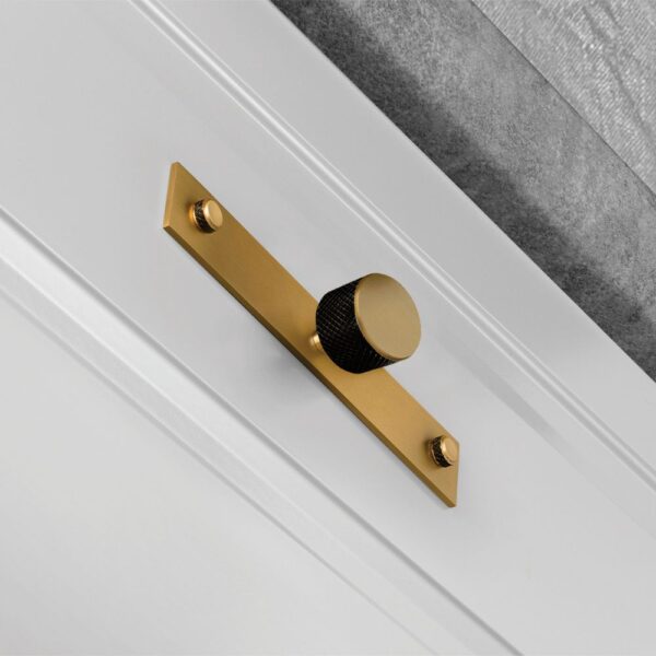 1-1/4" Svetlana Knob with 7-9/16" Backplate by MYOH